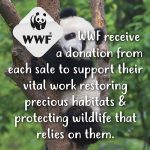 TKWWF002-SET - Image 6